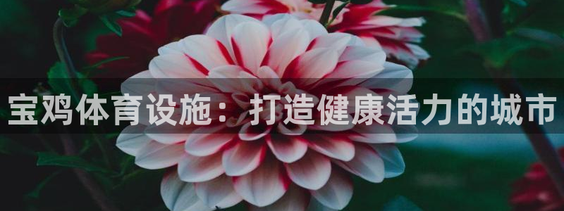 意昂3娱乐40996：宝鸡体育设施：打造健康活力的城