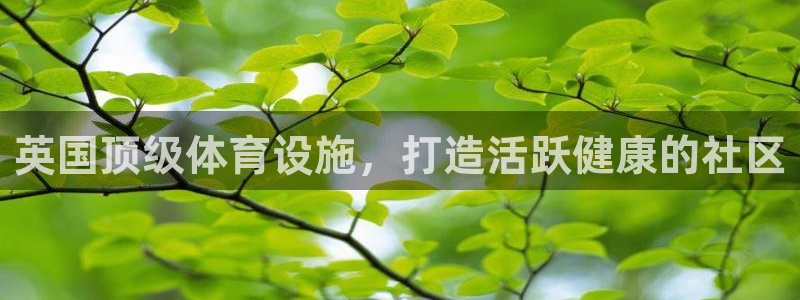 意昂集团官网：英国顶级体育设施，打造活跃健康的社区