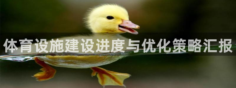 海南意昂体育3