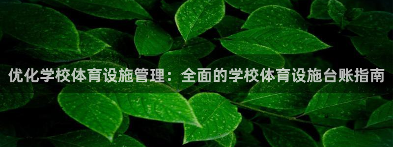 意昂3娱乐平台：优化学校体育设施管理：全面的学校体育