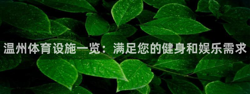 意昂体育3娱乐：温州体育设施一览：满足您的健身和娱乐