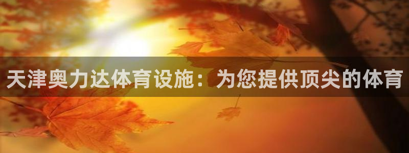 意昂体育3开户：天津奥力达体育设施：为您提供顶尖的体