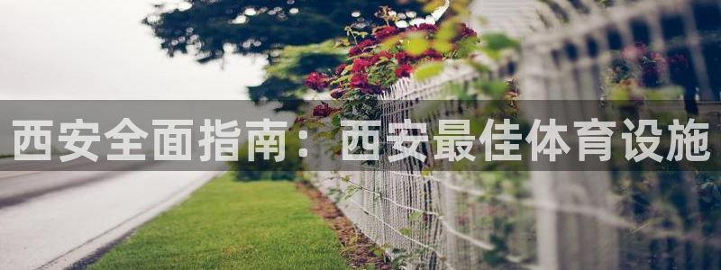 意昂平台体育：西安全面指南：西安最佳体育设施