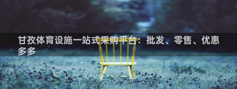 意昂体育3平台假的吗是真的吗：甘孜体育设施一站式采购
