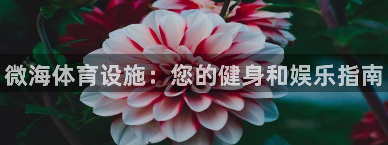 意昂3娱乐40996：微海体育设施：您的健身和娱乐指