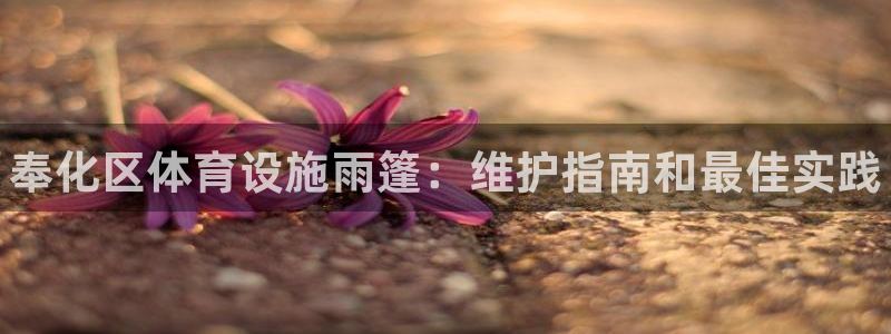 意昂3娱乐40996：奉化区体育设施雨篷：维护指南和最佳实践