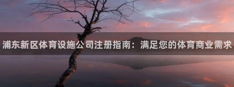 意昂体育3招商电话是多少：浦东新区体育设施公司注册指南：满足