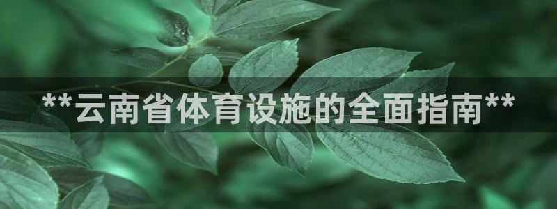意昂体育3招商电话地址查询：**云南省体育设施的全面