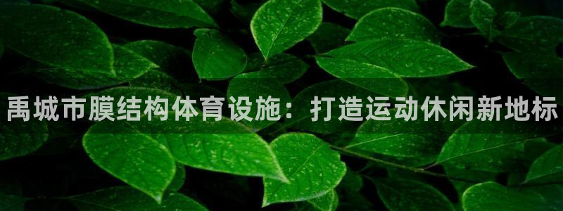 意昂3娱乐40996：禹城市膜结构体育设施：打造运动