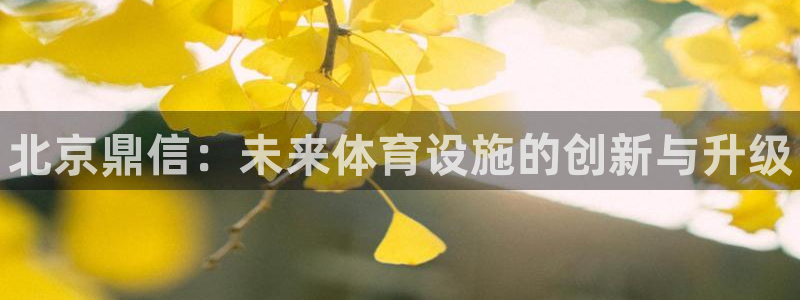 意昂体育3招商电话号码是多少号：北京鼎信：未来体育设施的创新