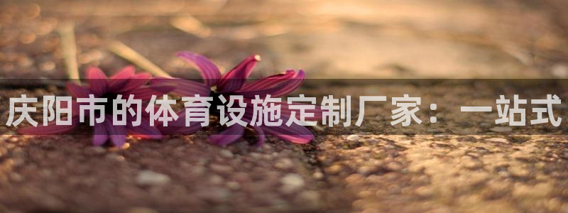 意昂3娱乐平台：庆阳市的体育设施定制厂家：一站式 