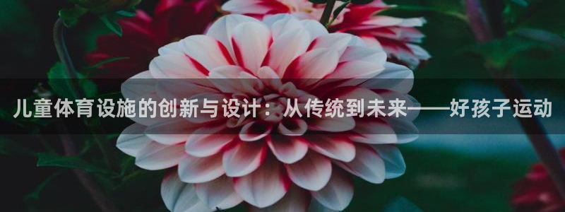 意昂3娱乐网站：儿童体育设施的创新与设计：从传统到未