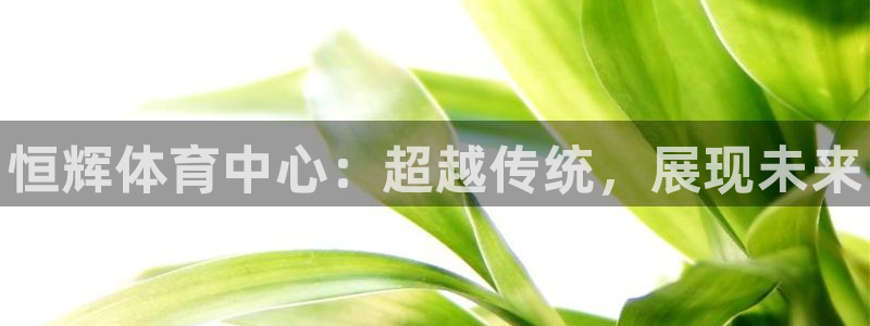 意昂体育3招商电话号码查询：恒辉体育中心：超越传统，展现未来