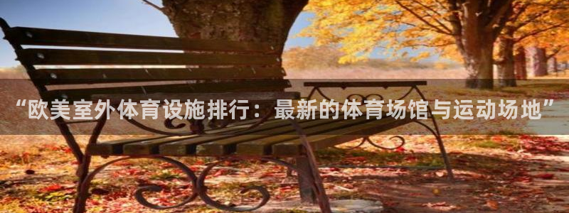 意昂体育3：“欧美室外体育设施排行：最新的体育场馆与运动场地