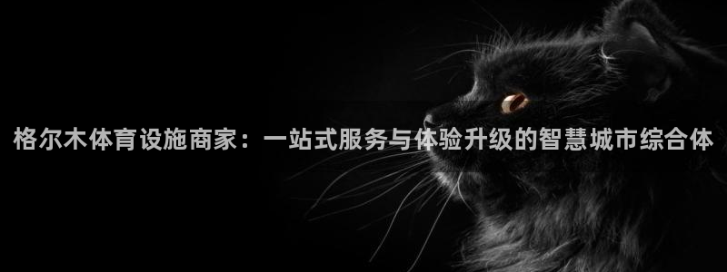 意昂3娱乐首页网站大全：格尔木体育设施商家：一站式服务与体验 