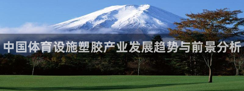 意昂体育3招商电话号码：中国体育设施塑胶产业发展趋势与前景分