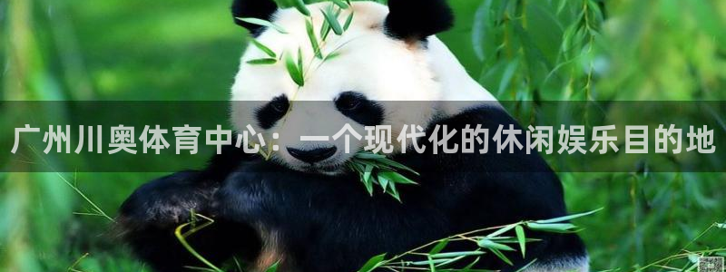 意昂3娱乐是那个系列的台子：广州川奥体育中心：一个现