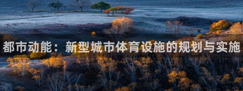 意昂体育3招商电话是多少啊：都市动能：新型城市体育设施的规划