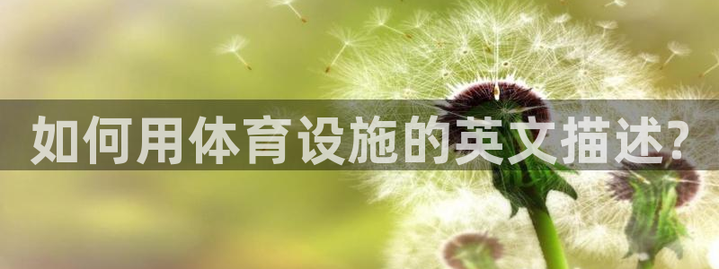 意昂3开户：如何用体育设施的英文描述?