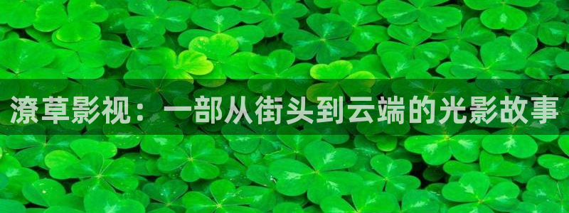 4k影院在线播放：潦草影视：一部从街头到云端的光影故事