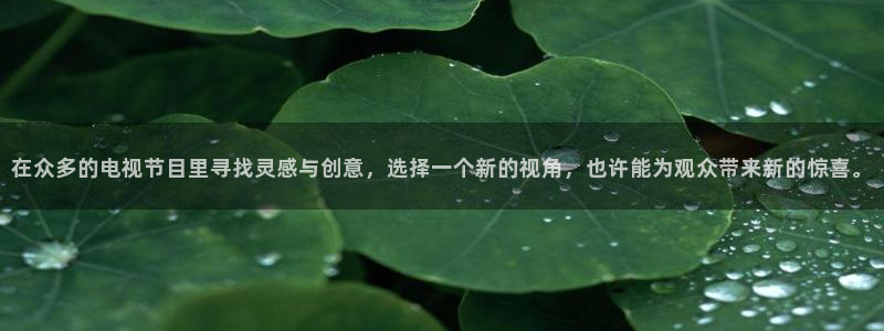4k影院免费看：在众多的电视节目里寻找灵感与创意，选择一个新的视角，也许能为观众带来新的惊喜。