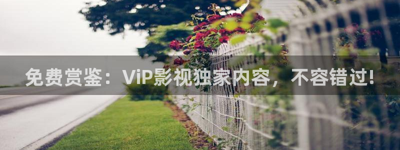 4k影视高清影院：免费赏鉴：ViP影视独家内容，不容错过!