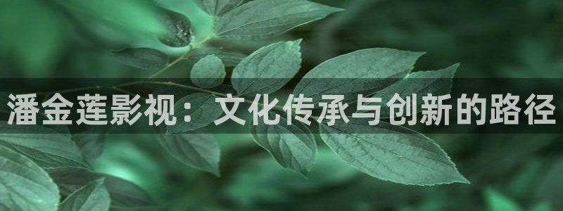 4k影院：潘金莲影视：文化传承与创新的路径