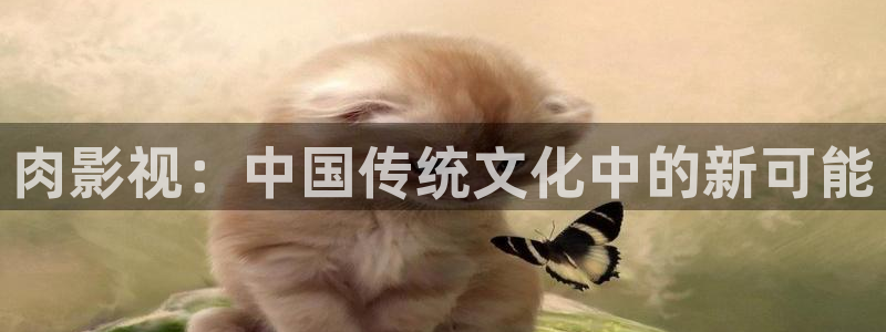 4k影院hdr官网入口：肉影视：中国传统文化中的新可能