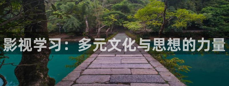 4k影院手机版：影视学习：多元文化与思想的力量