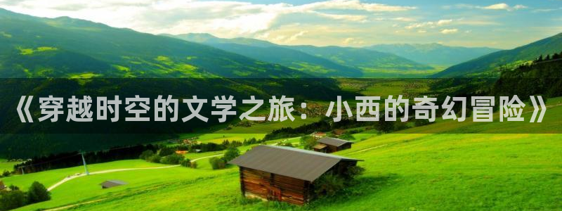 4k影院在线播放：《穿越时空的文学之旅：小西的奇幻冒险》