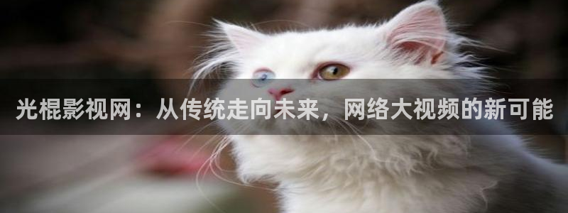 4k影视在线影院：光棍影视网：从传统走向未来，网络大视频的新可能