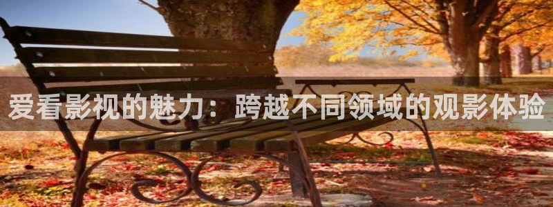4k影院app：爱看影视的魅力：跨越不同领域的观影体验
