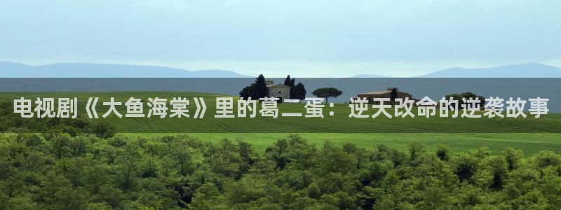 bt4k影院：电视剧《大鱼海棠》里的葛二蛋：逆天改命的逆袭故事
