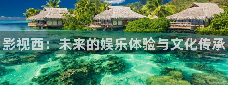 4k影院网址：影视西：未来的娱乐体验与文化传承