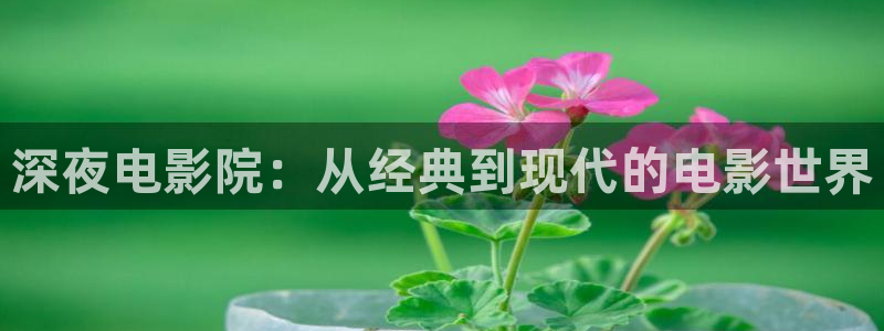 bt4k影视：深夜电影院：从经典到现代的电影世界