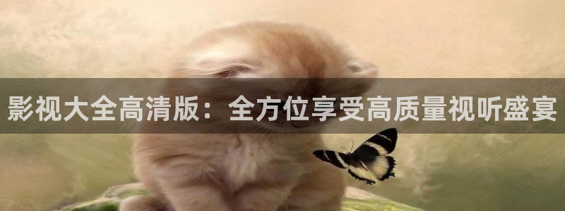 4k影视网：影视大全高清版：全方位享受高质量视听盛宴
