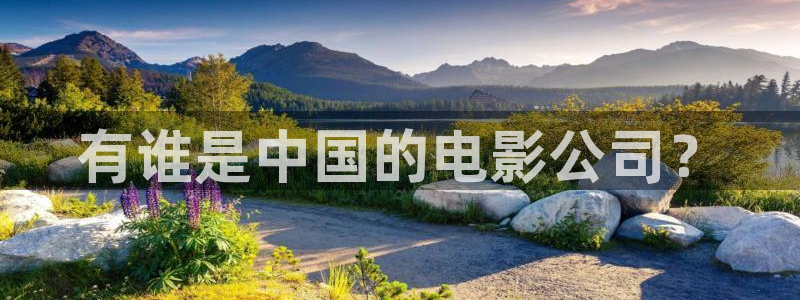 bt4k影院：有谁是中国的电影公司？